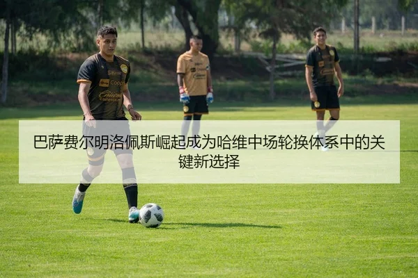 ba-sa-fei-er-ming-luo-pei-si-jue-qi-cheng-wei-ha-wei-zhong-chang-lun-huan-ti-xi-zhong-de-guan-jian-xin-xuan-ze-2-259.jpg